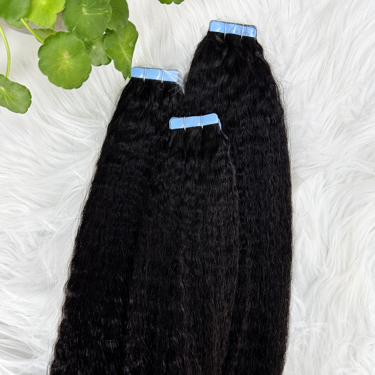 Kinky Straight Tape in Hair Extensions