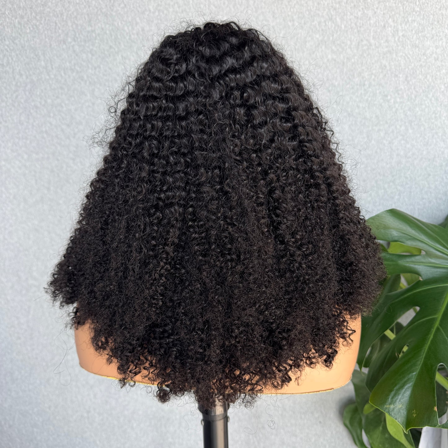 13x4 Transparent Lace 4B4C Wig Natural Hairline 180%