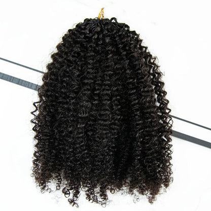 Afro Kinky Curly Crochet Hair Pre-Separated Feather Soft Knotless Human Hair Extensions