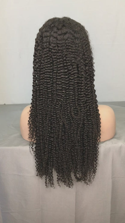 Kinky Curly Human Hair Wig | Transparent Lace Frontal Natural | Hairline 180%