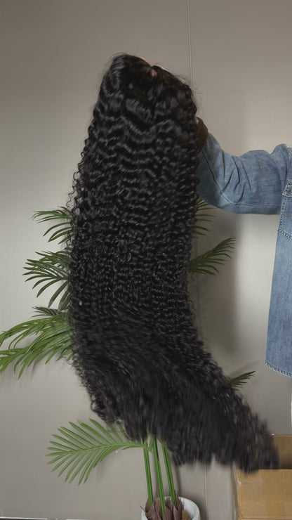Burmese Curly 40 Inch | 13*6 HD Lace Wig | Hairline pre-plucked