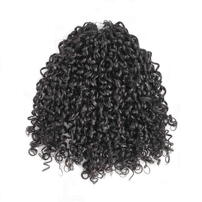 Pixie Curly Crochet Hair Pre-Separated Feather Soft Knotless Human Hair Extensions